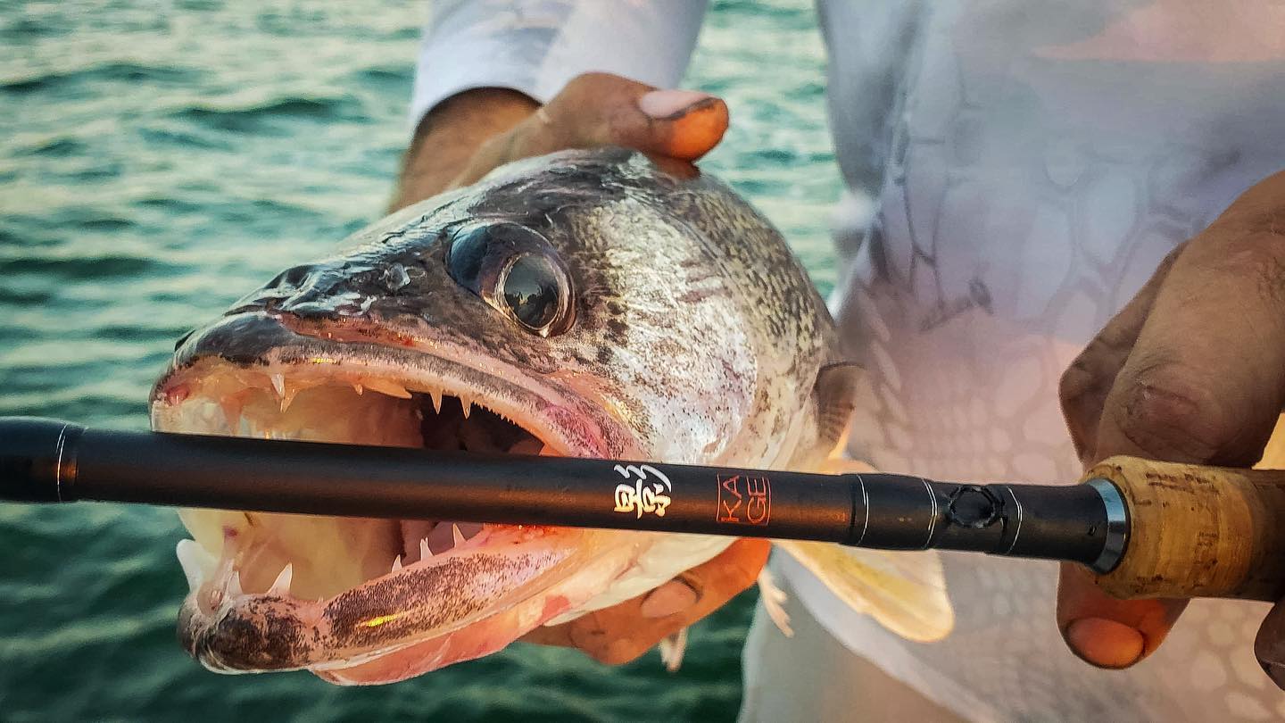 DAIWA to launch new TD EYE walleye rods at Chicagoland Fishing