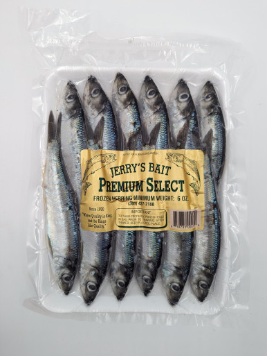 jb__63299.1687910272.386.513.