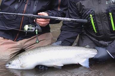 Lamiglas Fishing NWSS Rods Review: Northwest Steelhead Salmon Series