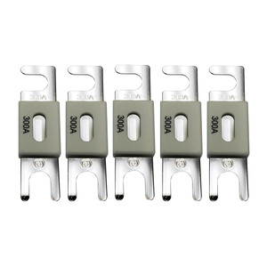 Victron ANL-Fuse 300A/80V f/48V Products (Package of 5) Victron ANL-Fuse 300A/80V f/48V Products (Package of 5)