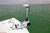 RHODAN G5 White 36v 60in Trolling Motor
