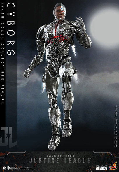 Cyborg Sixth Scale Figure