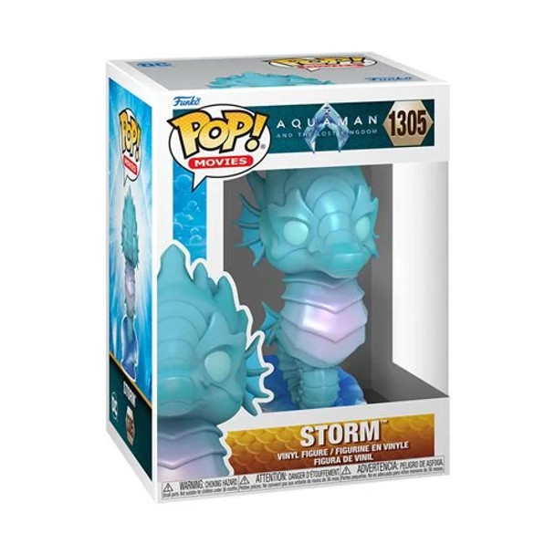 Aquaman and the Lost Kingdom Storm Funko Pop! Vinyl Figure #1305