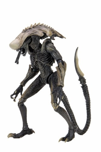 エイリアン Aliens vs Predator Chrysalis Alien - Comic Spot
