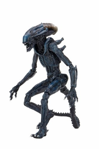 neca エイリアン　avp NECA Aliens Warrior Alien vs Predator AVP Black 7