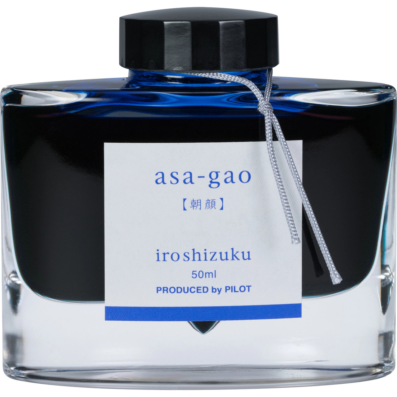 Iroshizuku Fountain Pen Ink