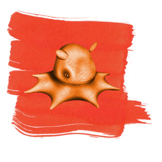 Anderillieum Cephalopod Series Fountain Pen Ink - Flapjack Octopus Orange 1.5 oz
