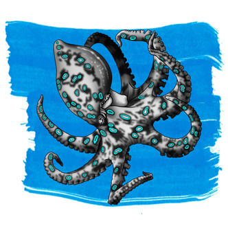 Anderillium Cephalopod Series Fountain Pen Ink - Blue-Ringed Octopus Blue 1.5 oz