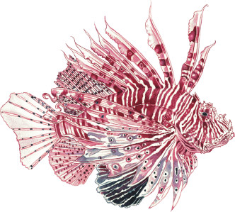 Anderillium Ichthyformes Series Fountain Pen Ink - Lionfish Maroon 1.5 oz Anderillium Ichthyformes Series Fountain Pen Ink - Lionfish Maroon 1.5 oz