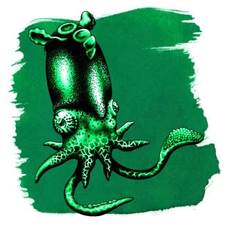 Anderillium Cephalopod Series Fountain Pen Ink - Spirula Green 1.5 oz