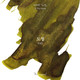 Wearingeul Ink - Path (Green) - 30 ml