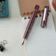 Pilot Prera Fountain Pen - Cinnamon Brown