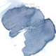 Wearingeul Ink - Moby-Dick - 30 ml