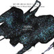 Wearingeul The Color of Literature Ink - Hades - 30 ml