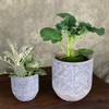 Aboriginal Medium Concrete Planter