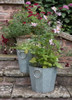 Zinc Planters Set of 2