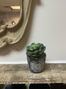 CEMENT CARVING PLANTER IN BLACK