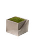 Cement Architectural  Cube Planter I