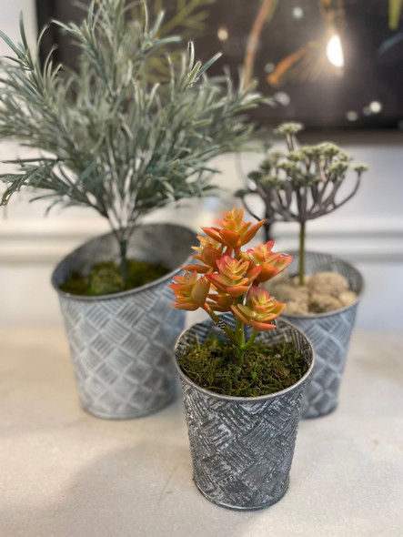 Set of 3, Round Basketweave Planters