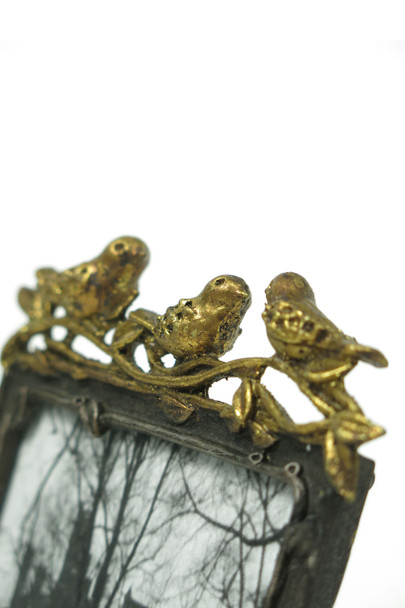 Pewter Frame with Gold Leaf Birds