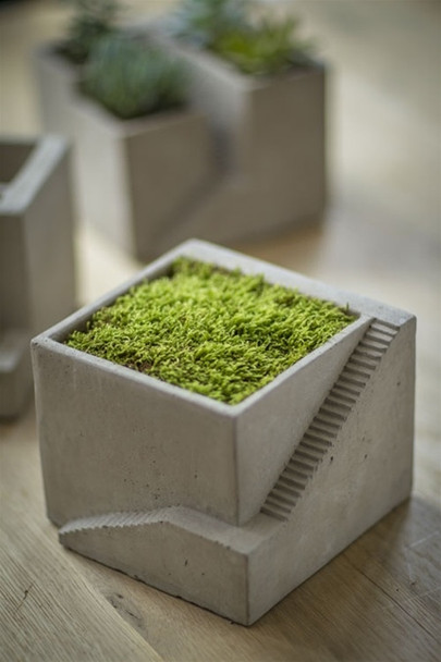 Cement Architectural  Cube Planter I