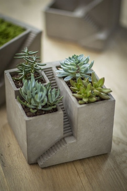 Cement Architectural Plant Cube Planter III