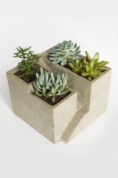 Cement Architectural Plant Cube Planter III