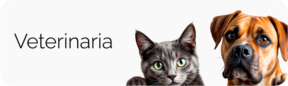 creatividad veterinaria home