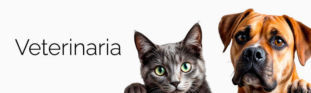 creatividad veterinaria home