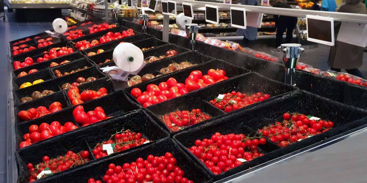 Alternative banner alt