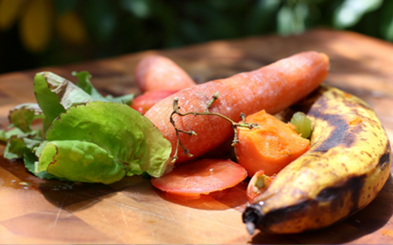 How to grow fruit and vegetables from scraps JParkers