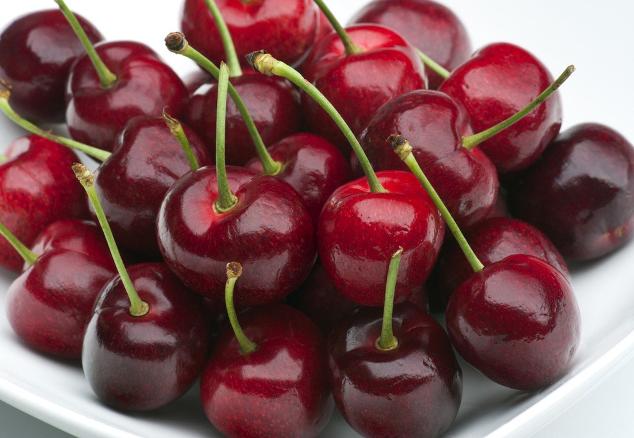 Beginners Guide to Cherry Trees -grow cherry trees from seed