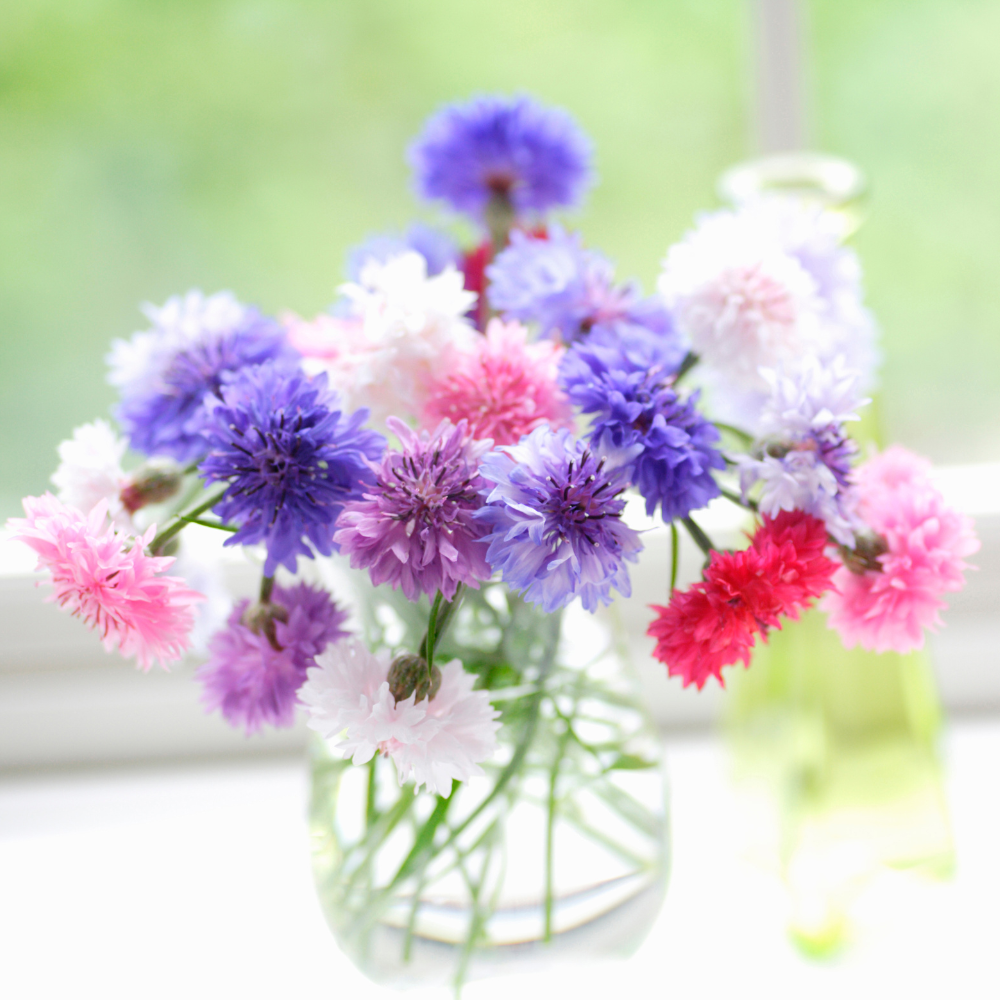 Shop Cornflower Polka Dot Mix J. Parker's