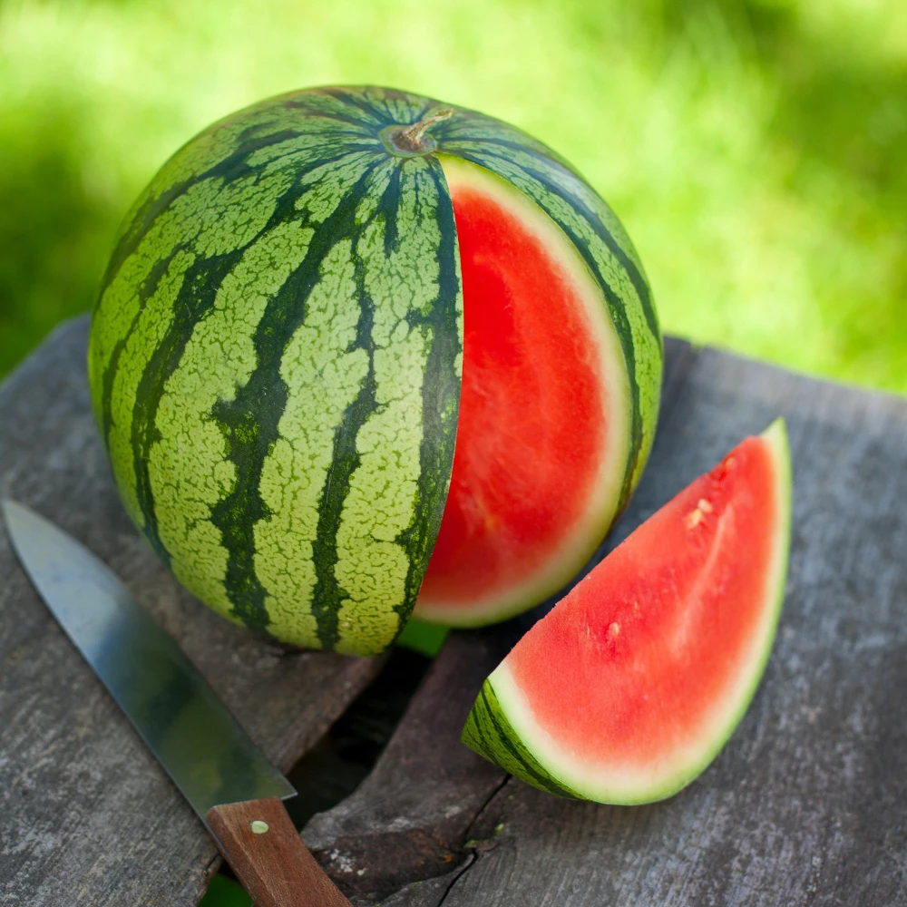 Crimson Sweet (Warpaint) Watermelon Seeds – Farmhouse Seeds