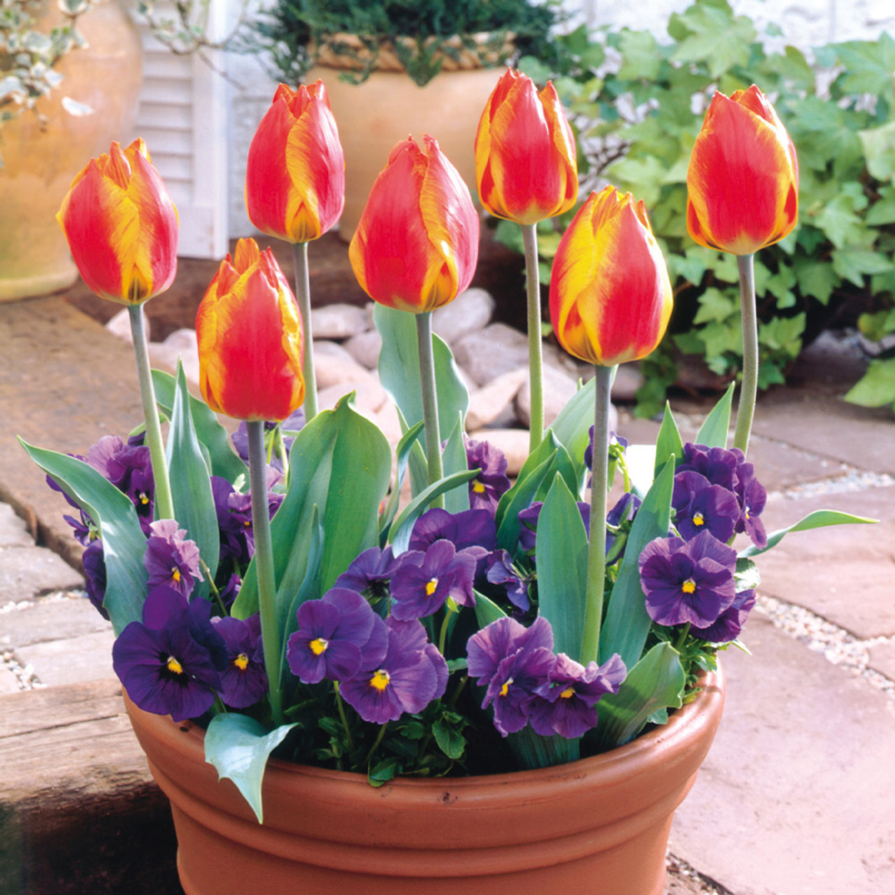 melted butter TULIP 2点セット melted butter TULIP 2点セット