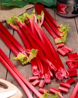 Rhubarb 'Victoria'