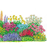 Perennial Border Collection 3 (x 2.6m)