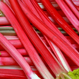 Rhubarb Collection