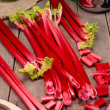 Rhubarb Collection