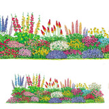 Perennial Complete Border Collection