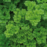 Herb collection 2