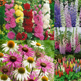 Cottage Garden Collection