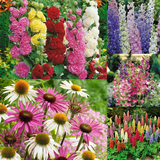 Cottage Garden Collection