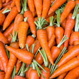 Carrot Early Nantes