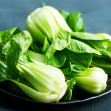 Cabbage Pak Choi White