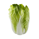 Cabbage Wong Bok