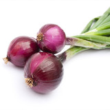 Onion North Holland Blood Red Redmate