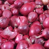 Onion Red Baron