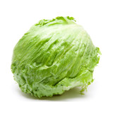 Lettuce Crisphead Iceberg
