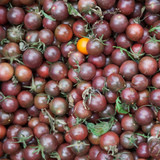 Beginner Veg Garden Seed Collection